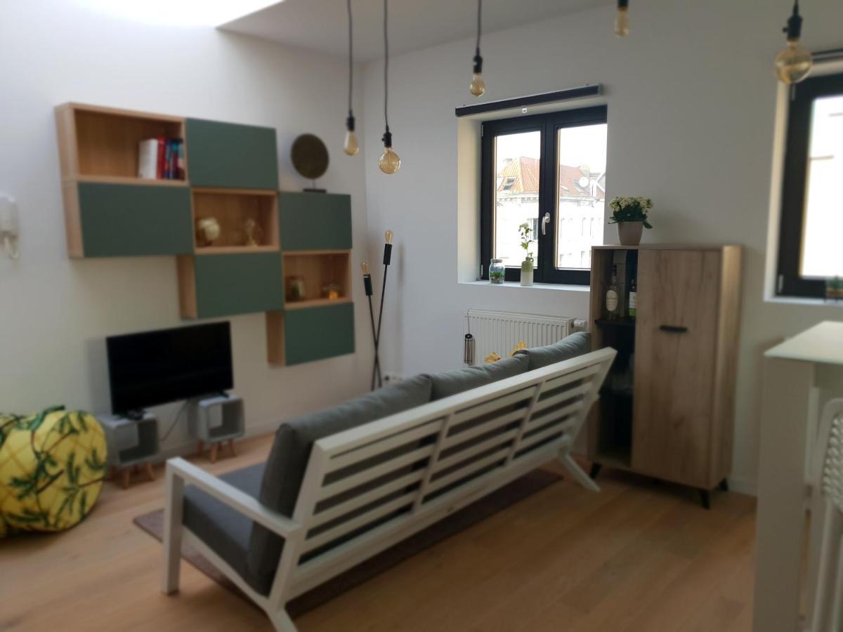 Uitzicht Op Het Mas Lägenhet Antwerpen Exteriör bild